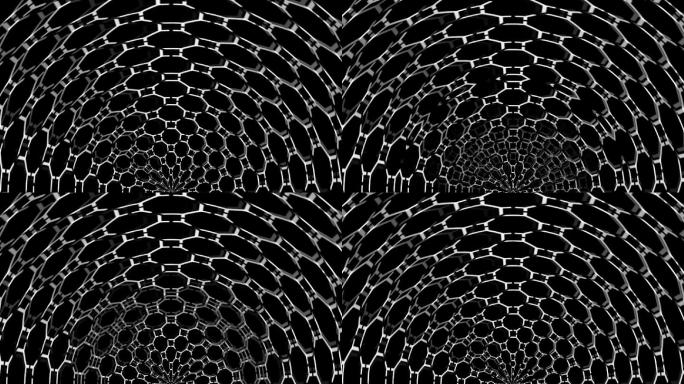 传统黑白蛛网VJ背景素材