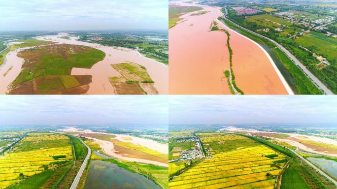 黄河沿岸，万亩农田，灌溉