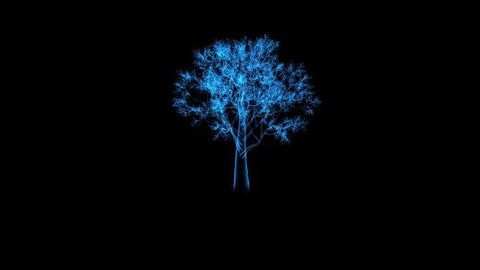 透明树