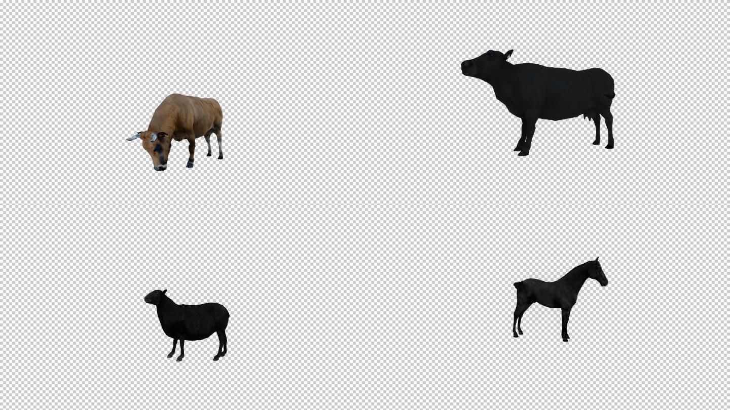 动物通道素材包(牛,羊,猪,马)_视频素材包下载(