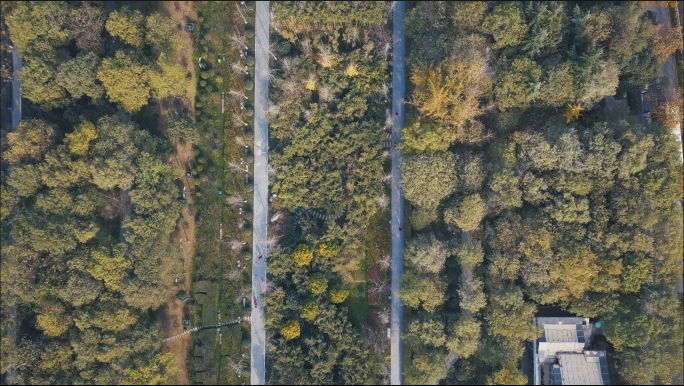 【4K】西安唐城墙遗址公园航拍雾霾