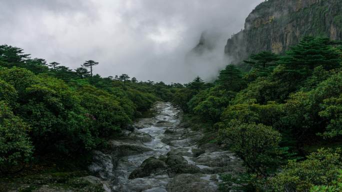 云南昆明禄劝轿子雪山夏季风光