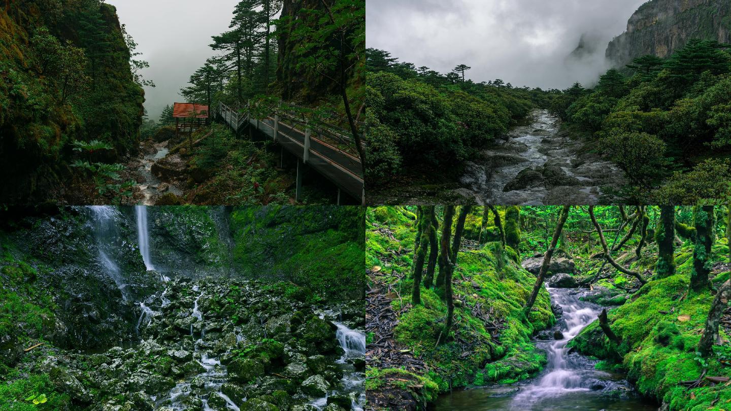 云南昆明禄劝轿子雪山夏季风光