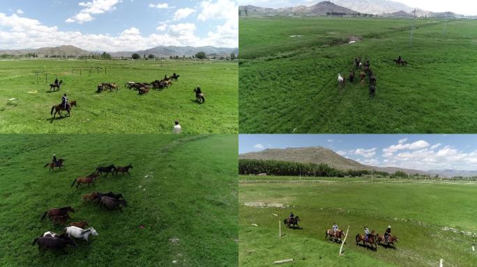 草原川西放牧牧马放马骑马河流原野马群马航