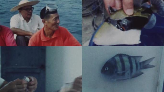 80年代研究西沙群岛鱼类