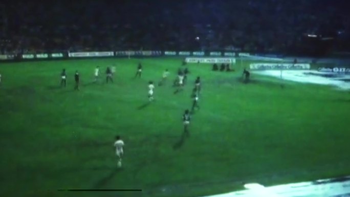 1981年世界杯预选赛