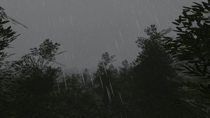 雨夜竹林深山打雷打闪