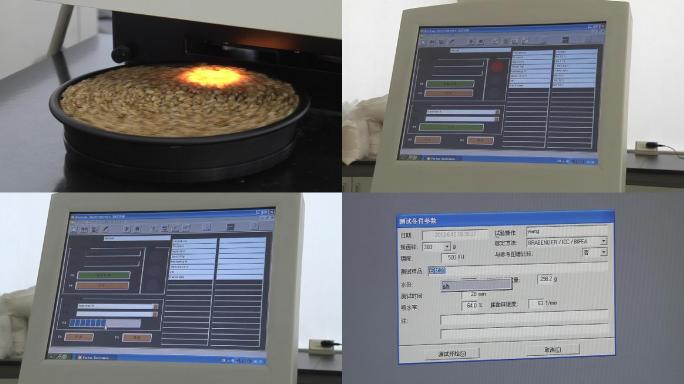 试验室实验室小麦种子培育种子分析0