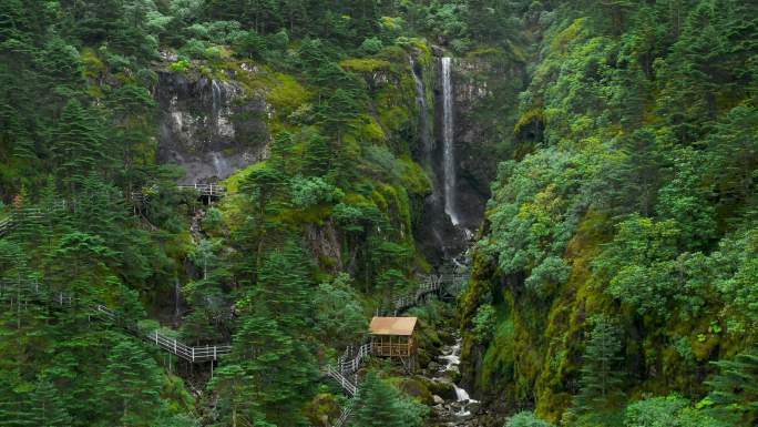 轿子雪山夏季风光