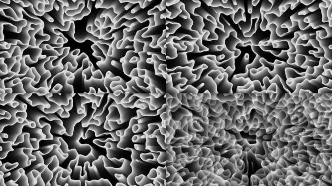 980白色抽象迷宫珊瑚型背景