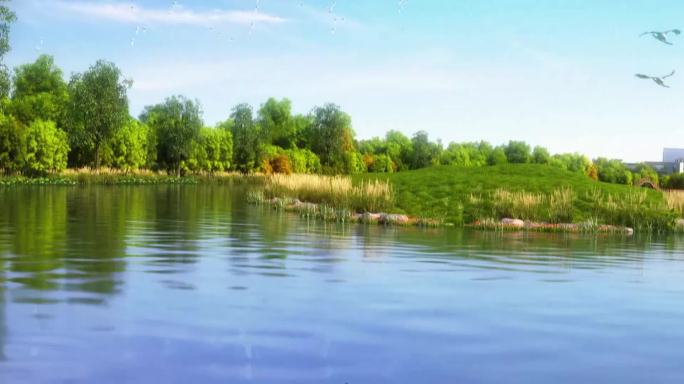 三维湿地公园绿色生态城市动画
