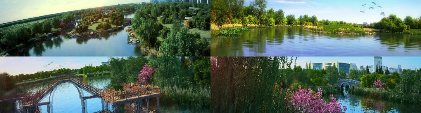 三维湿地公园绿色生态城市动画