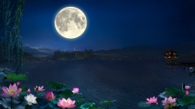 月夜视频素材下载 月夜ae模板下载 Vj师网