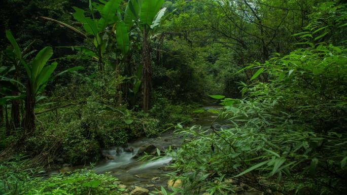 溪水小溪延时山间山区流水大