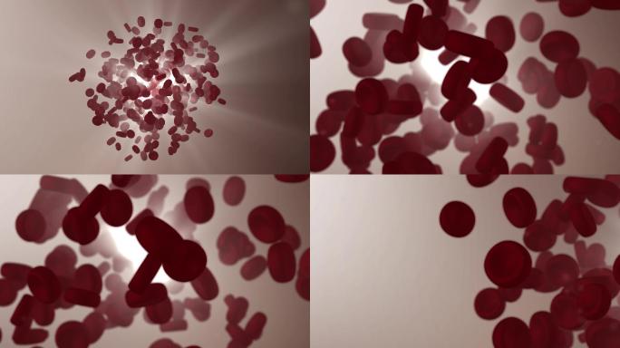 【4K】红细胞血小板抽象唯美展示
