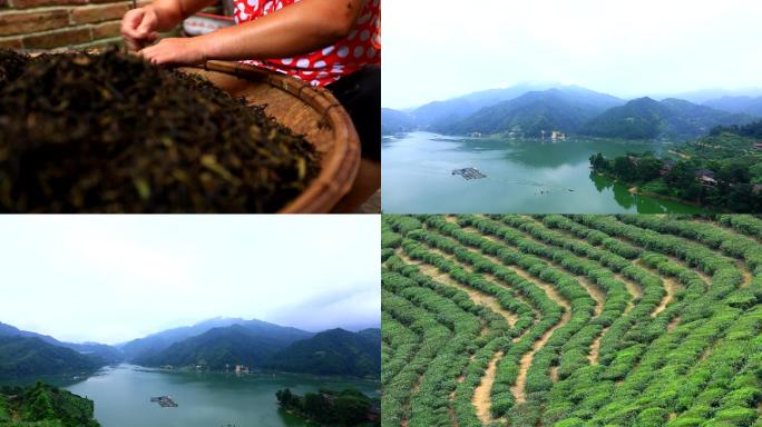 安化茶山风景山峰云雾