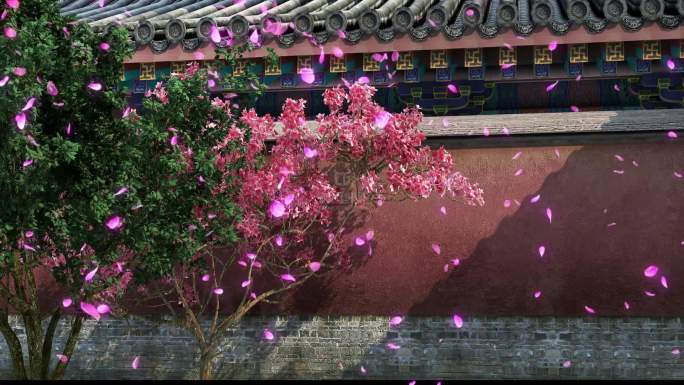 桃花树院墙