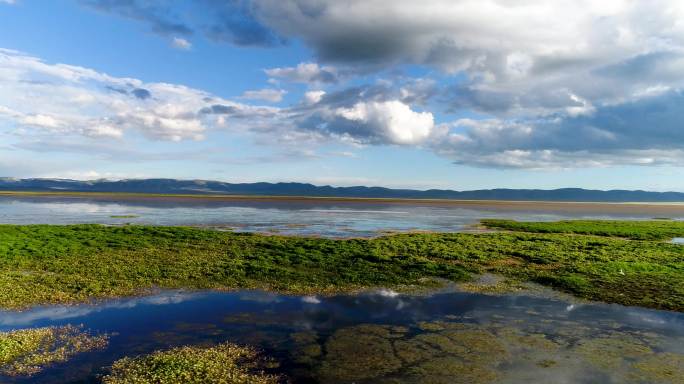 黄河草原湿地水鸟栖息生态保护区