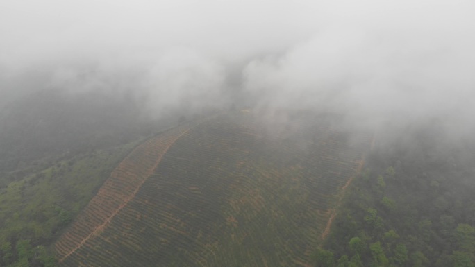 茶山云层