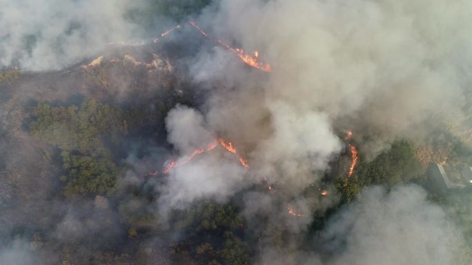 山火、森林火灾、火灾