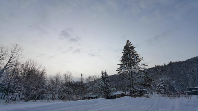 日本北海道雪山雾凇超美延时素