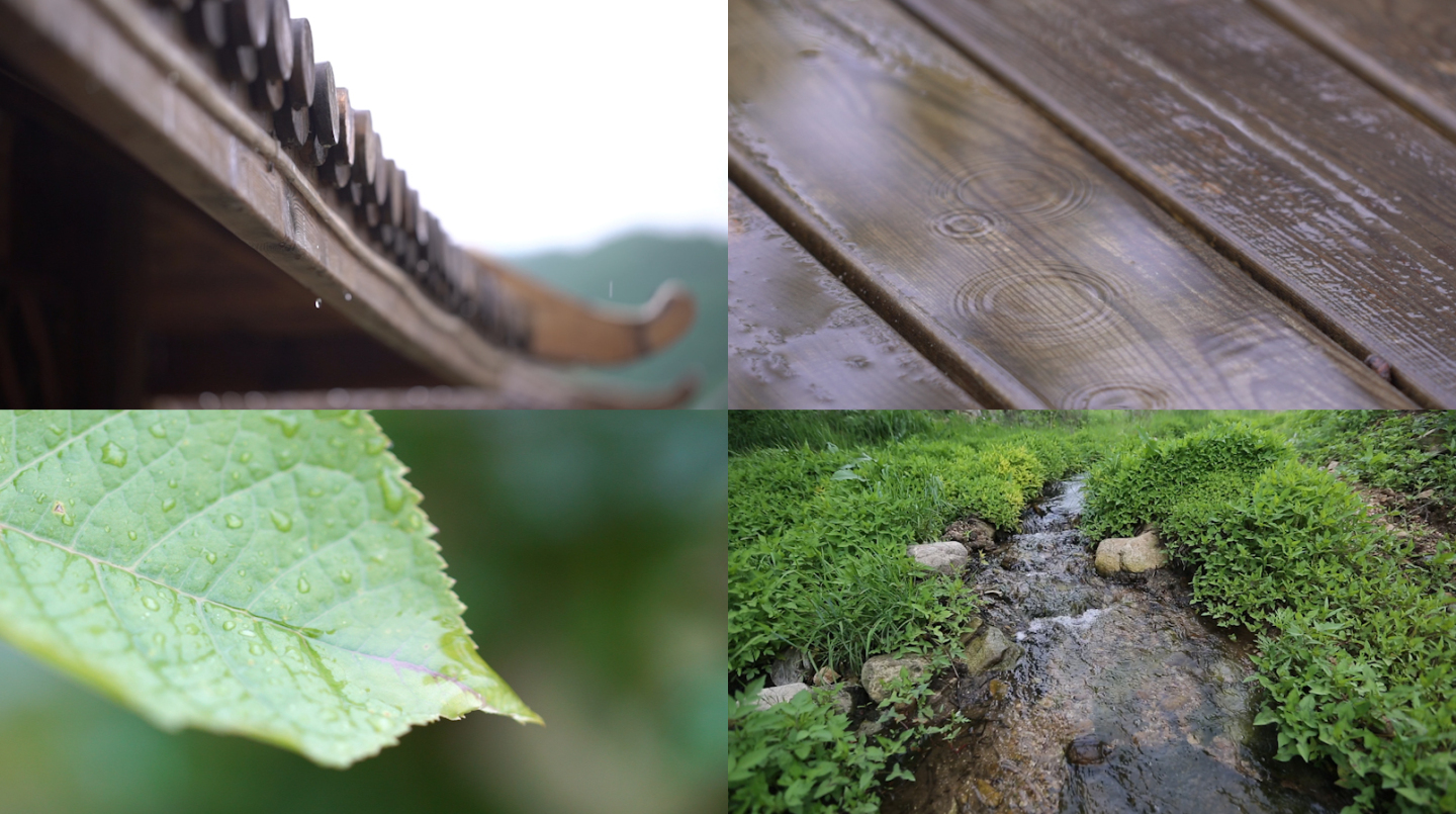 下雨树叶特写小溪凉亭