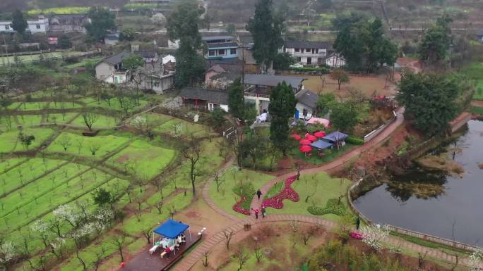 乡村振兴成都市新津市梨花节