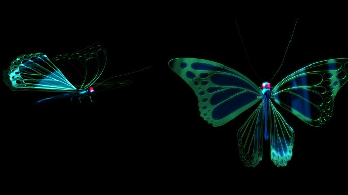 蝴蝶3d模型动画
