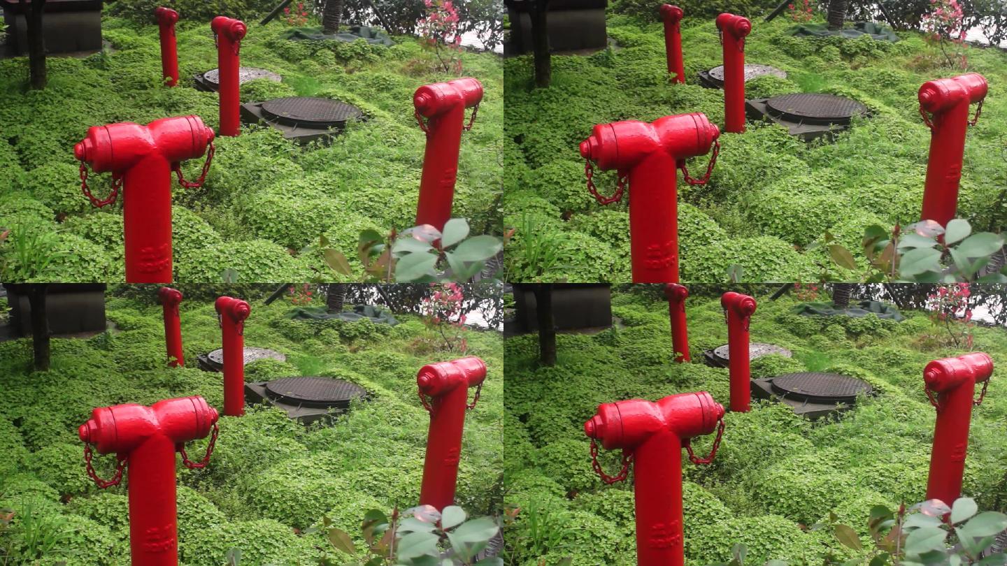 绿化带内消火栓（2014.03.29）