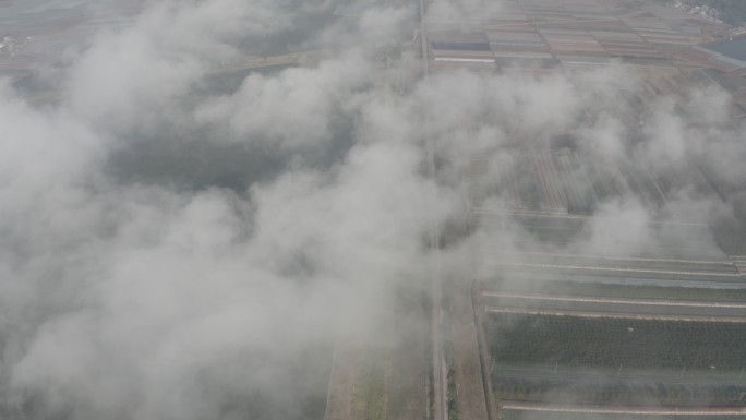 云雾遮盖的田野航拍
