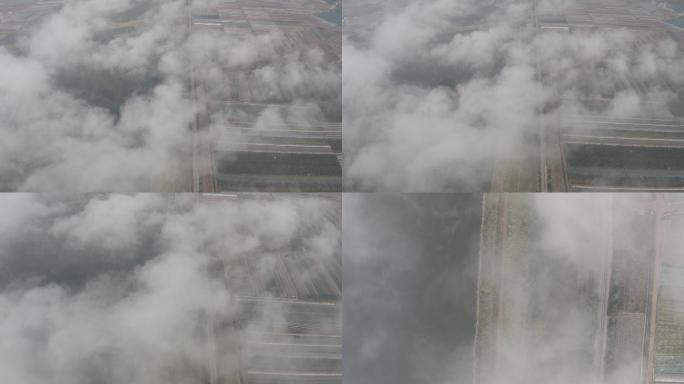 云雾遮盖的田野航拍