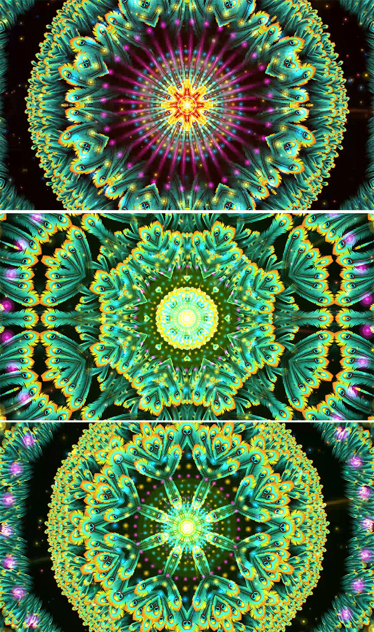 孔雀傣族舞蹈背景孔雀舞