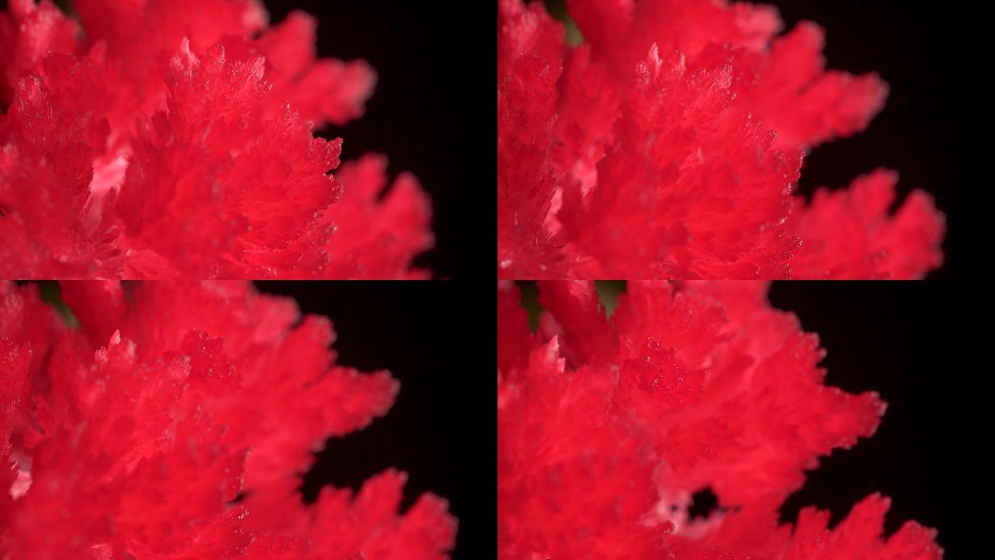4K红水晶实验品拍摄素材