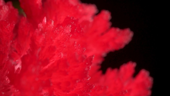 4K红水晶实验品拍摄素材