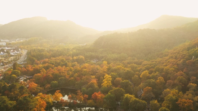 航拍苏州天平山秋景枫叶林