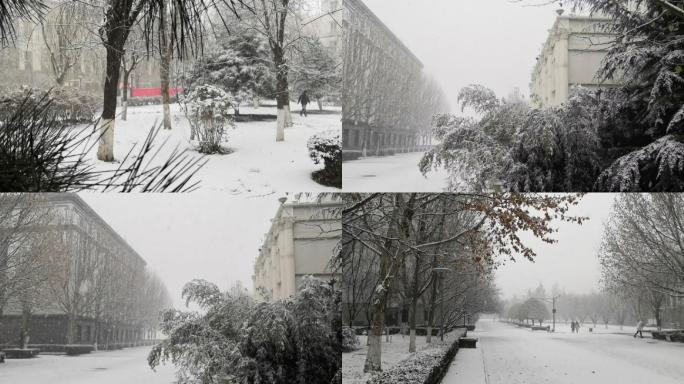 校园雪景