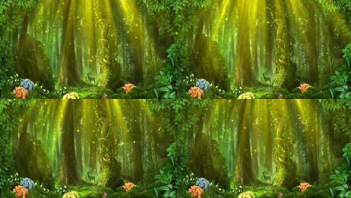 唯美梦幻森林背景素材 19x1080 高清视频素材下载 编号 舞台背景 Vj师网www Vjshi Com 唯美梦幻森林背景素材 19x1080 高清视频素材下载 编号 舞台背景 Vj师网www Vjshi Com