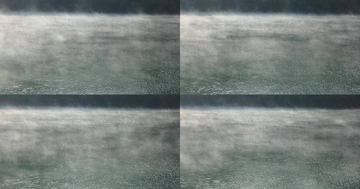 4K河面晨雾流动有白鹭飞过