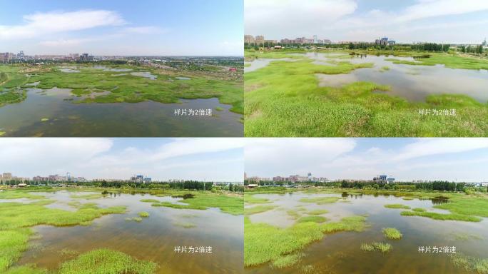 宁夏章子湖湿地