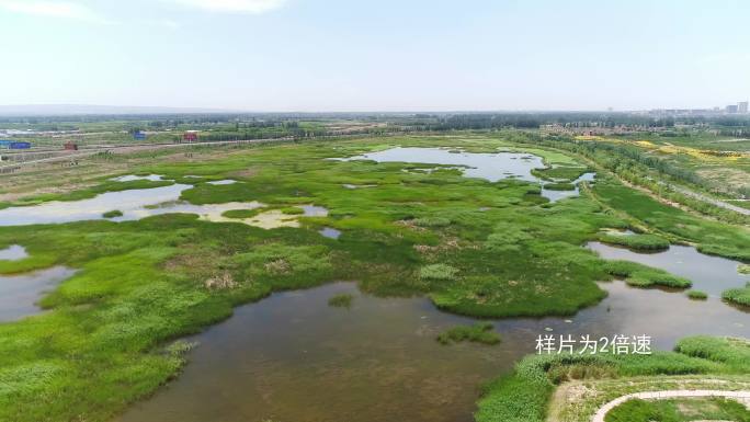 宁夏湿地生态保护