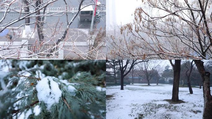 下雪天气实拍