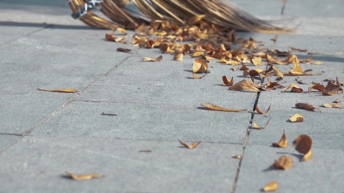 慢镜头视频深圳福田区环卫工人扫起的落叶