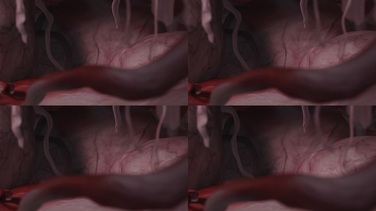 怪物肠胃内部场景1