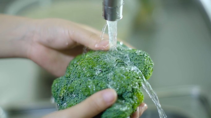 洗菜绿色食材农业科技