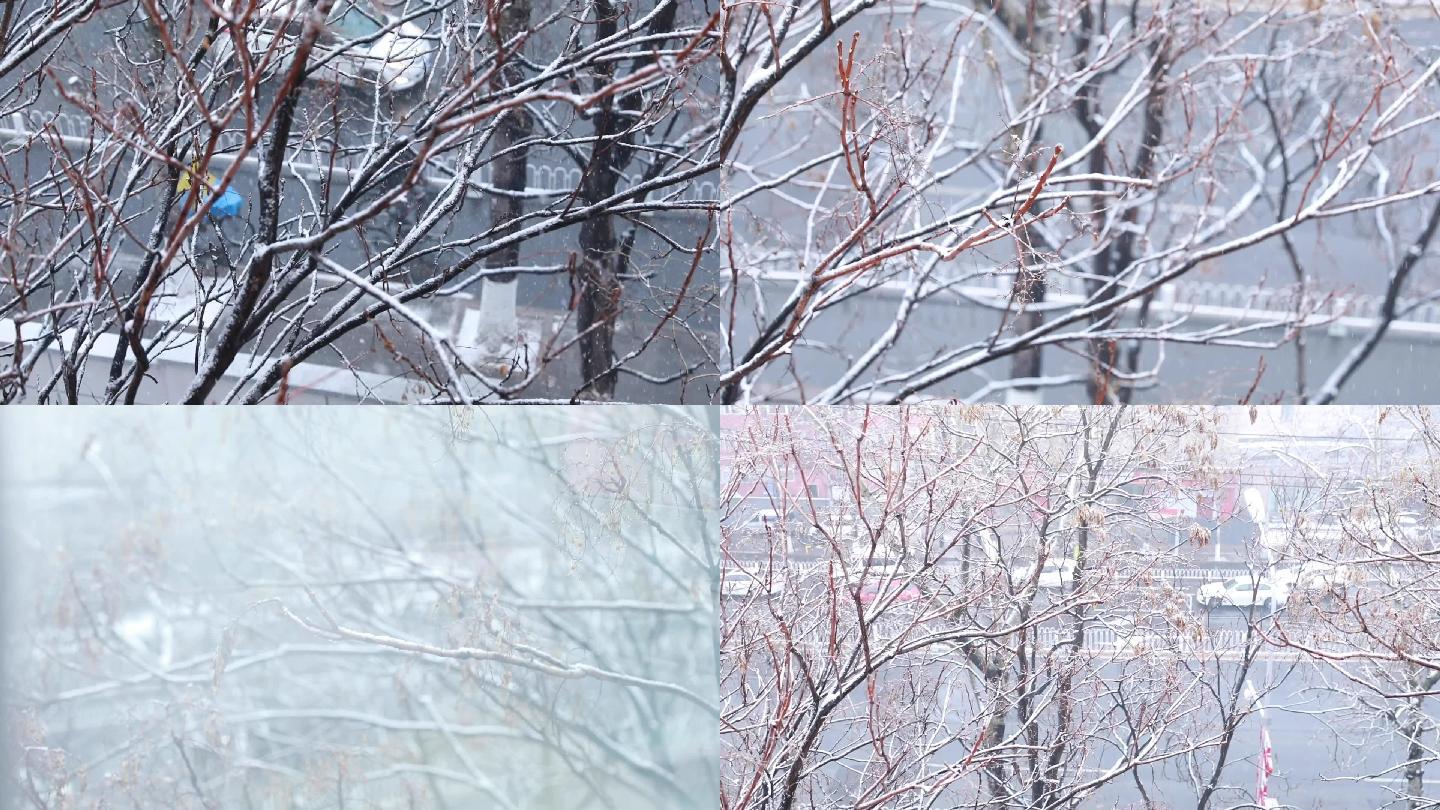 窗外雪景窗外下雪