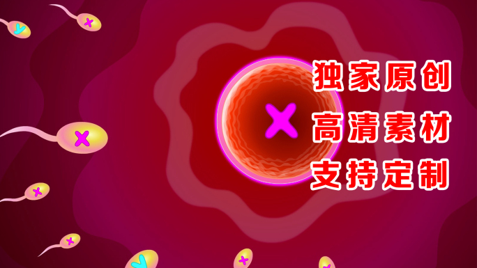 原创卡通卵子与镜子受精MG动画XY染色体