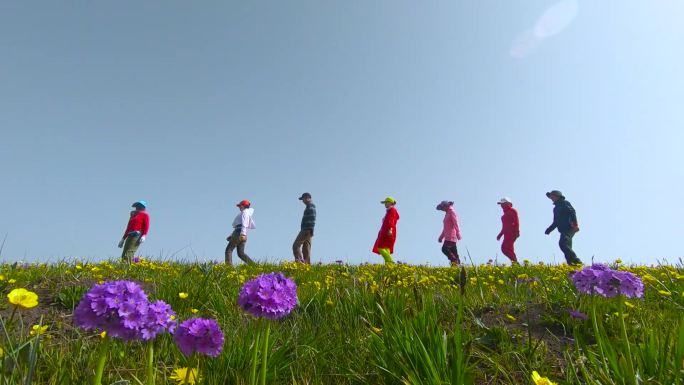 抖音网红变天星空彩虹视频