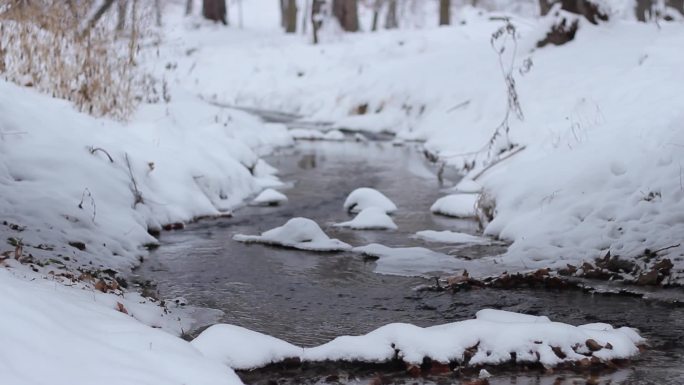 冬天积雪融化河流小溪回暖