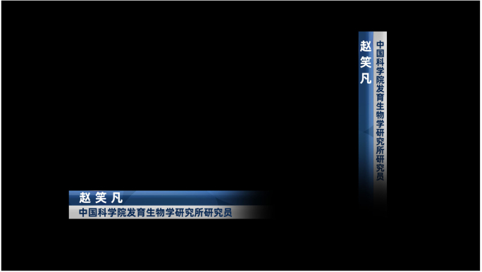 人名介绍字幕条角标介绍新闻报道宣传注明