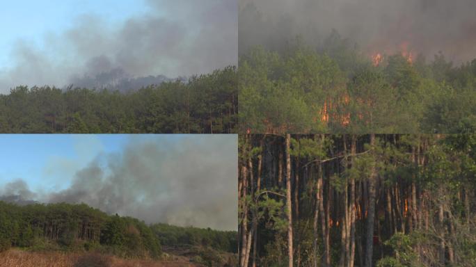 山火、森林火灾、火灾、大火烧山